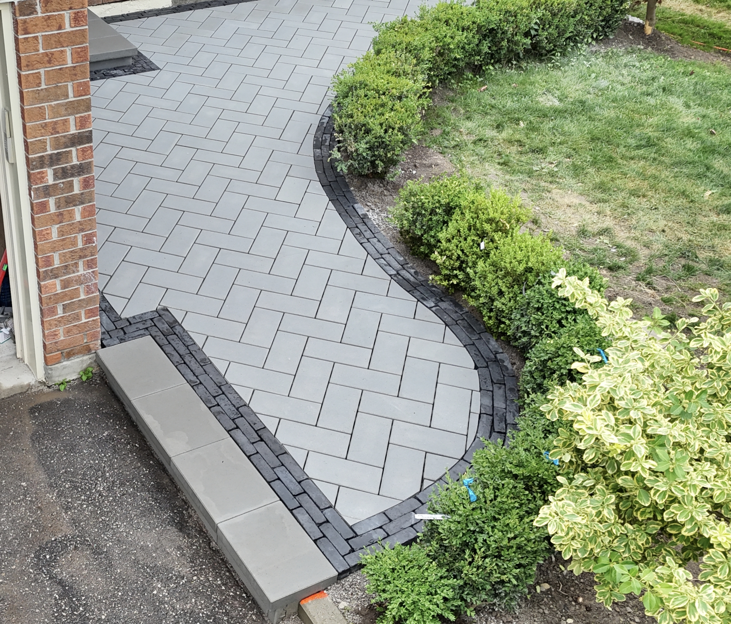 Modern Classic Front & Backyard