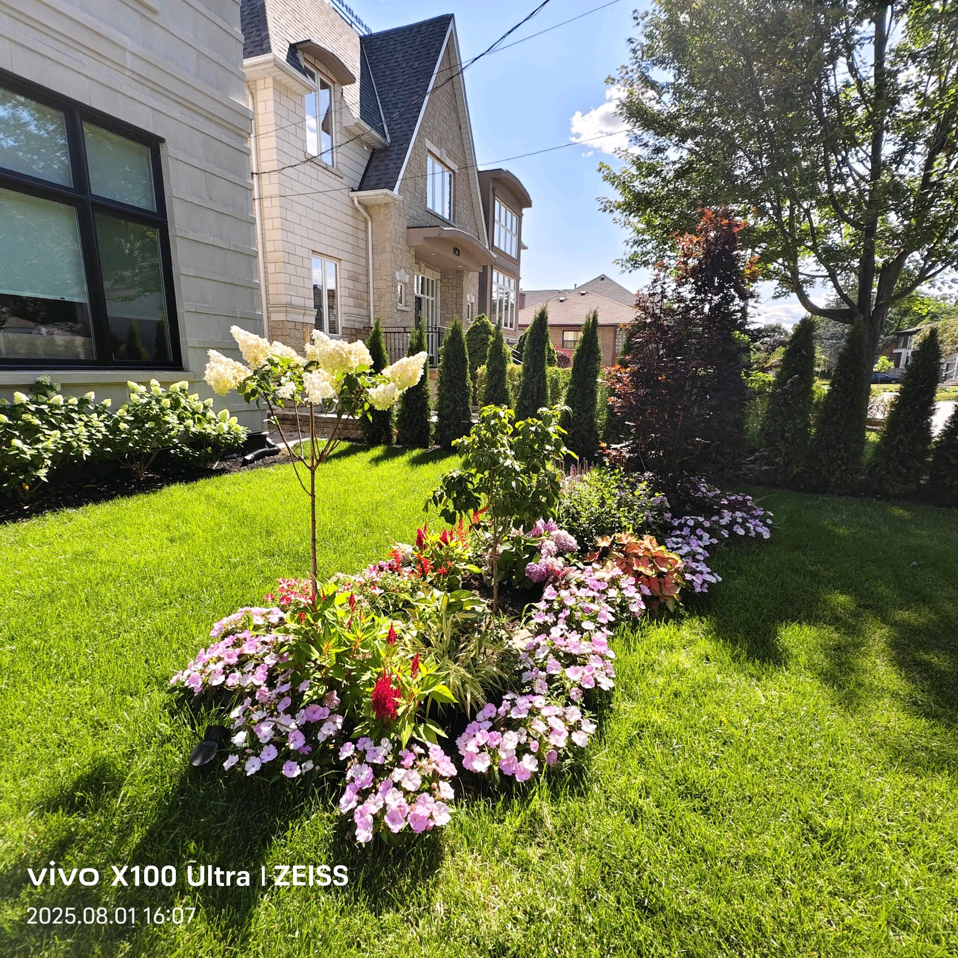 Planting & Maintenance